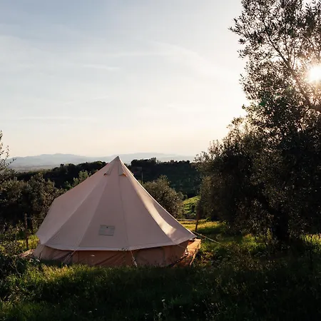 Wild Camp Luxury tent *