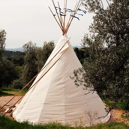 Wild Camp