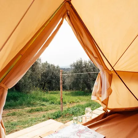 Wild Camp