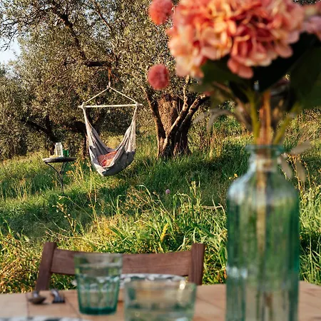 Luxury tent Wild Camp *
